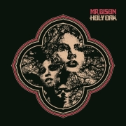 Review: Mr Bison - Holy Oak